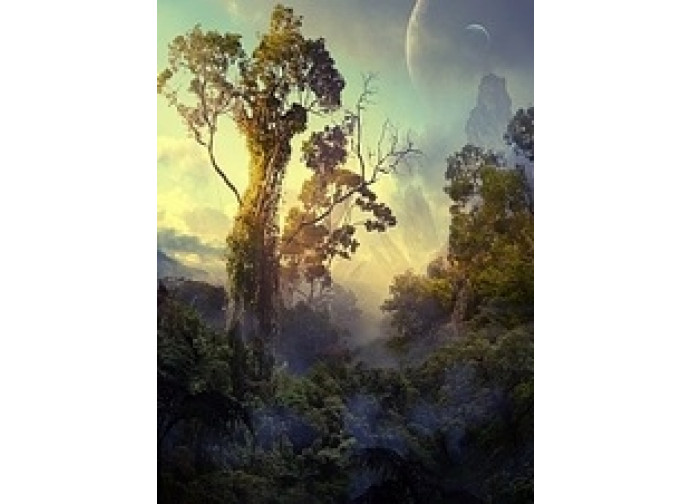 Avatar - Pandora Avatar - Pandora
